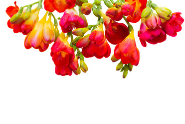 Similar image 2810929