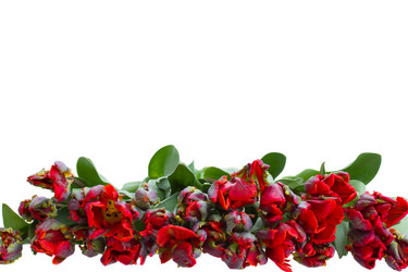 Similar image 2810940