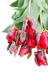 Similar image 2810945