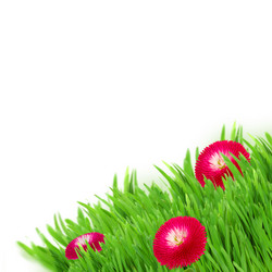 Similar image 2810959