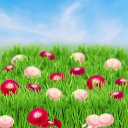 Similar image 2810960