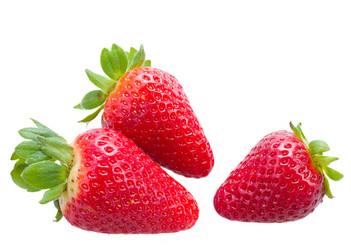 Similar image 2810962