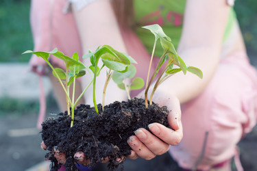 Similar image 2812194