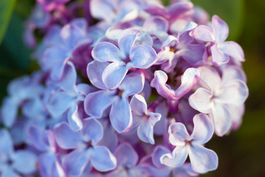 Similar image 2812195