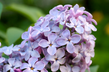 Similar image 2812196