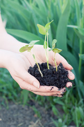 Similar image 2812197