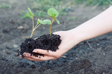 Similar image 2812198