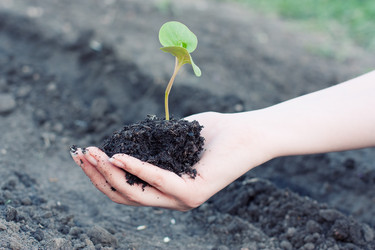 Similar image 2812199