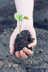 Similar image 2812200