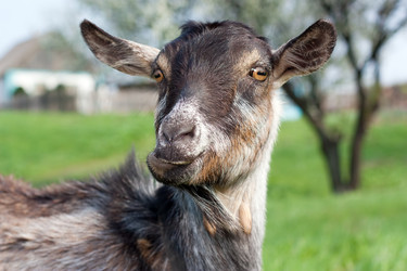 Similar image 2812295