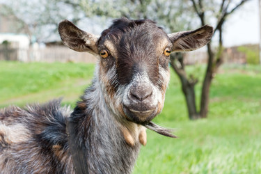 Similar image 2812296