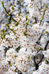 Similar image 2812297