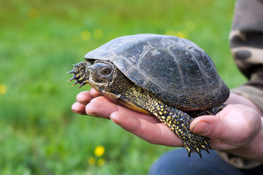 Similar image 2812298