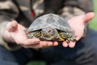 Similar image 2812299