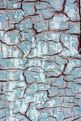 Similar image 2812303