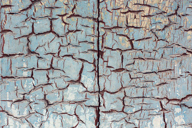 Similar image 2812304