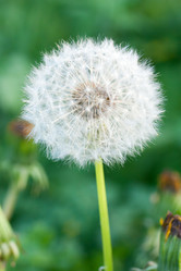 Similar image 2812334