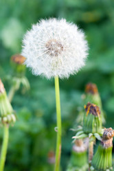 Similar image 2812342