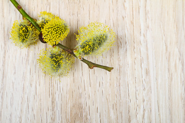 Similar image 2813056