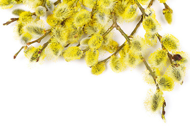 Similar image 2813075