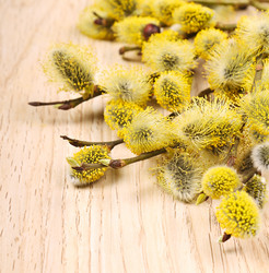 Similar image 2813076