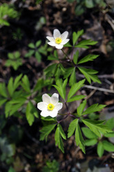 Similar image 2813079