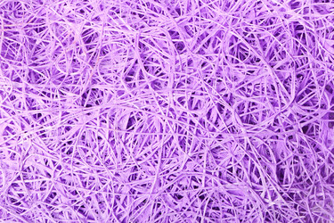 Similar image 2813124