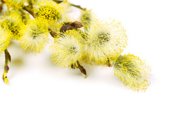 Similar image 2813127