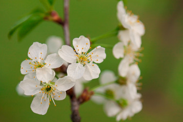 Similar image 2813192