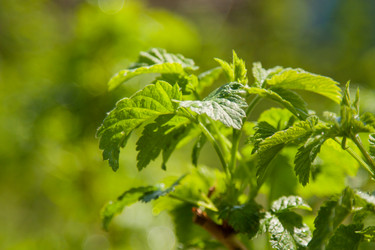 Similar image 2813193