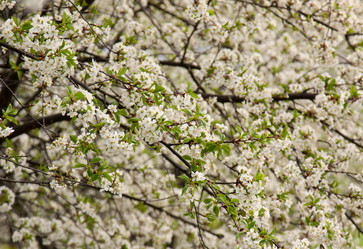 Similar image 2813201