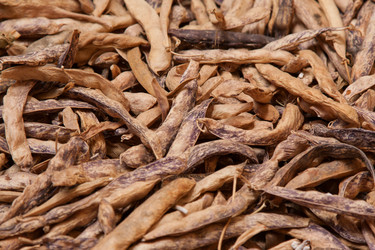 Similar image 2813202