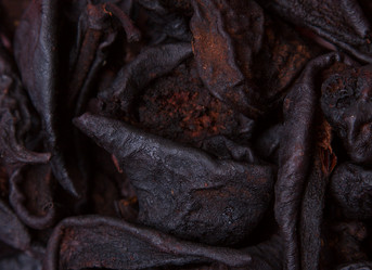 Similar image 2813203