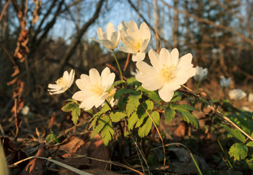 Similar image 2813394