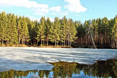 Similar image 2813395