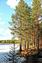 Similar image 2813399