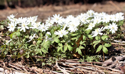 Similar image 2813400