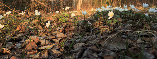 Similar image 2813401