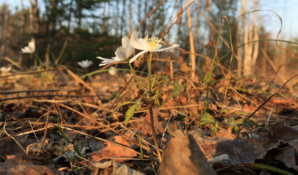 Similar image 2813402