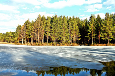 Similar image 2813403