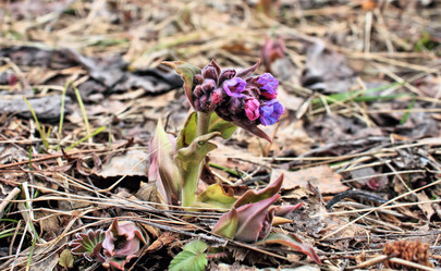 Similar image 2813405