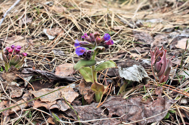 Similar image 2813407