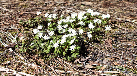 Similar image 2813408