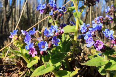 Similar image 2813409