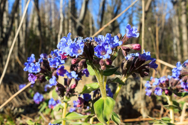 Similar image 2813410