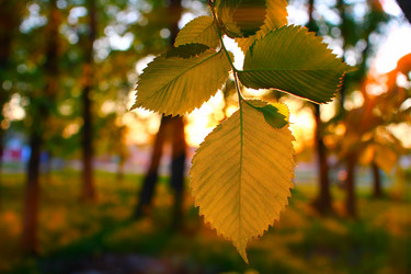 Similar image 2813473