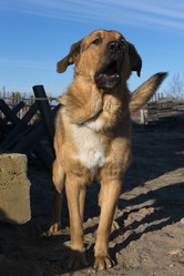 Similar image 2813582