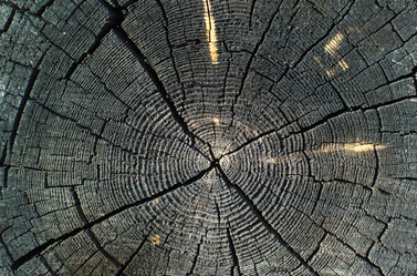 Similar image 2813584