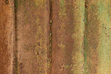 Similar image 2813585