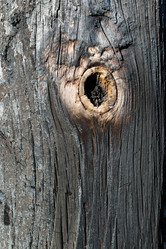 Similar image 2813586